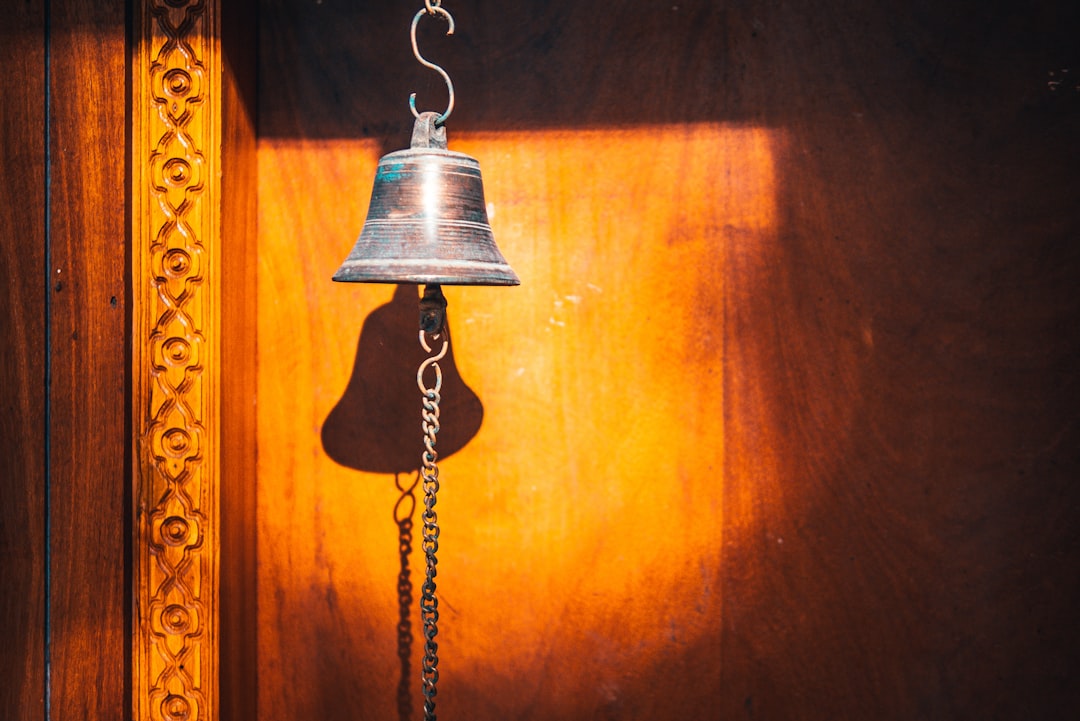 Photo Metal Hanging Lamp