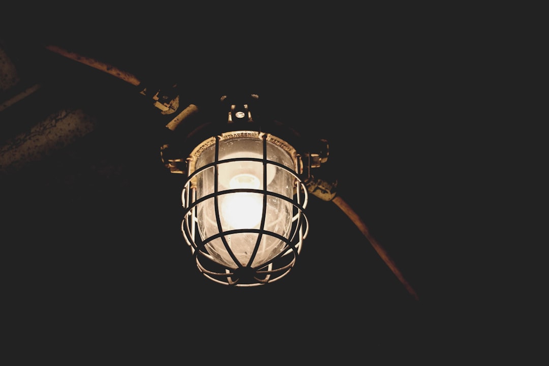 Photo industrial style cage lamp