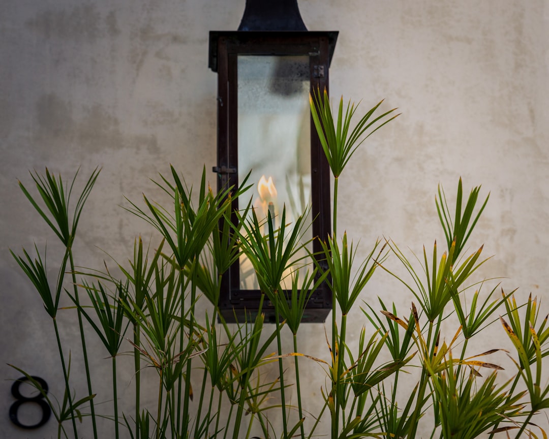 Photo Botanical forged iron wall sconce lighting